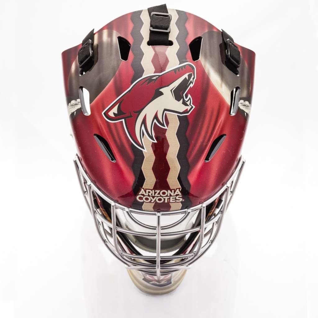 NHL Hockey Goalie Face Mask Full Size