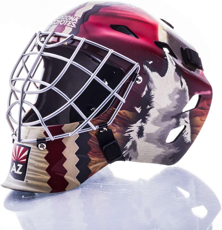 NHL Hockey Goalie Face Mask Full Size